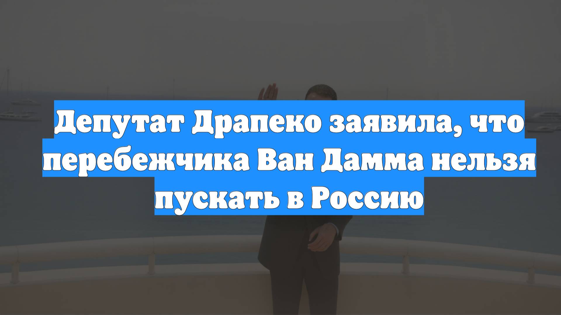 Депутат Драпеко заявила, что перебежчика Ван Дамма нельзя пускать в Россию