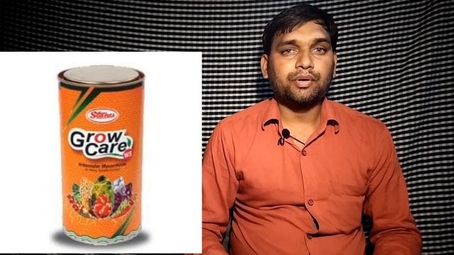 aachar ke mirch ki kheti| अचारी मिर्च की खेती| moti achar ki kheti| मोटी मिर्च की खेती| achari ki смотреть онлайн