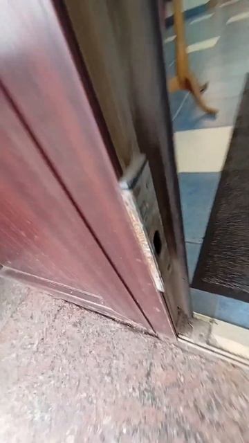 Хотят заменить, но мы предложим отремонтировать ПВХ входную дверь #секретыоконщика смотреть онлайн