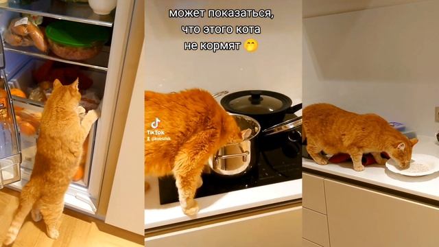 Василиса - моя помощница 🧚🪄✨ смотреть онлайн