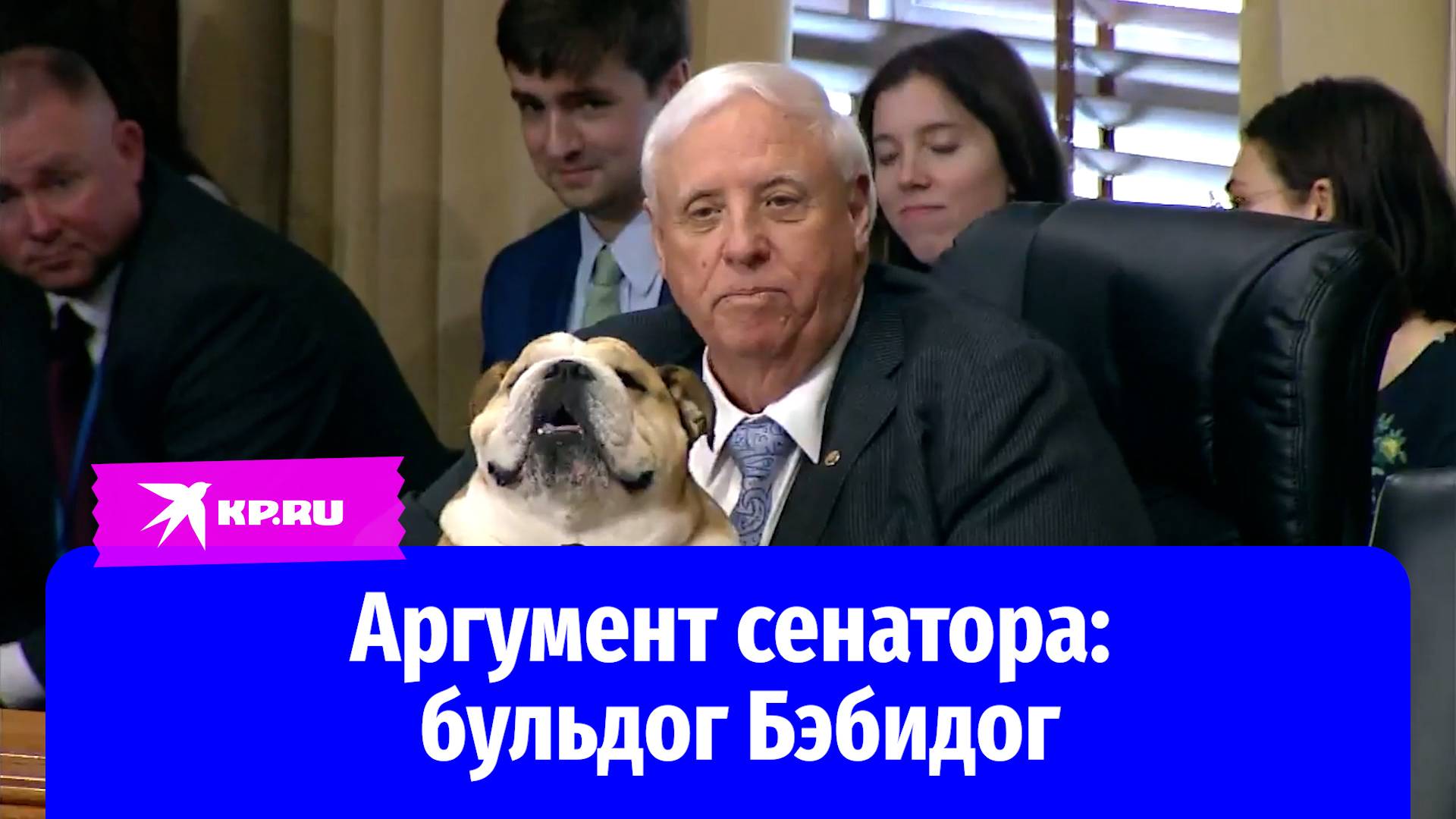 Американский сенатор пришёл на слушания со своим бульдогом