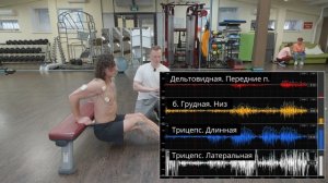 Обратные отжимания от скамьи. Что качаем? Миография