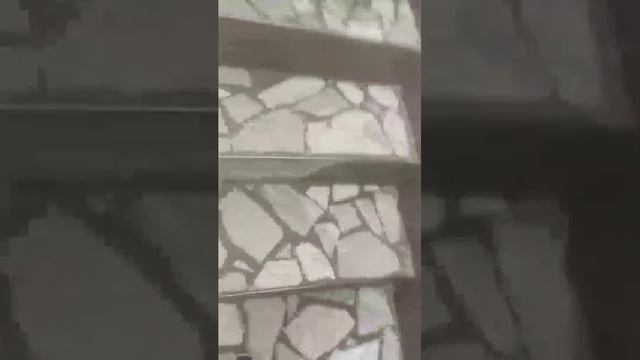 иду в библиотеку и на Платово