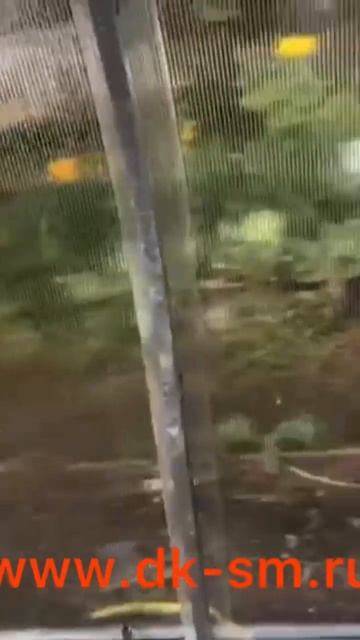 Теплица оцинкованная усиленная 25х25 от ДКСтройМонтаж🔥. 🚚 по Уфе и по РБ, также и по сосед.регион.