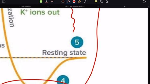 Pharmacology _Lec2(part2)_(pharmacodynamics) смотреть онлайн
