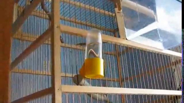 Беспокойство.avi