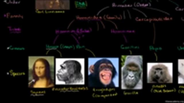 分类学与生命树 Taxonomy and the Tree of Life смотреть онлайн