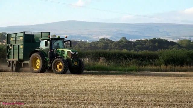 Whole-Crop Wheat Silage with Claas Jaguar 950 plus John Deere. смотреть онлайн