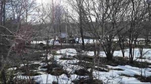 VID-20250311-WA0026.mp4