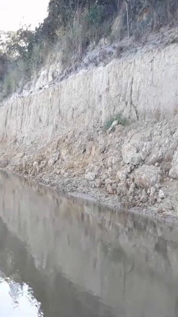 RASGANDO O VELHO CHICO #SHORTS смотреть онлайн