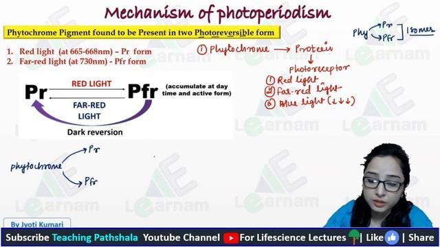 DBT 2023: Photoperiodism In Plants || Revision Reloaded (Part 12)