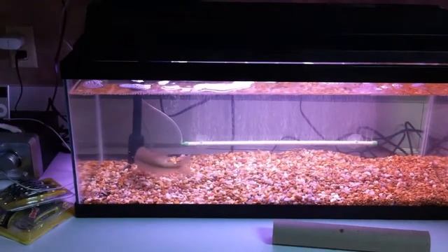 Bucket & Remington: Part I смотреть онлайн