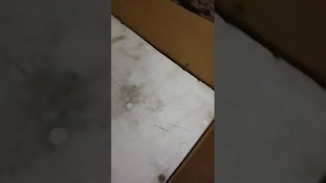 отзывы покупателей о " про лодки61" мотор пришел в Красноярск смотреть онлайн