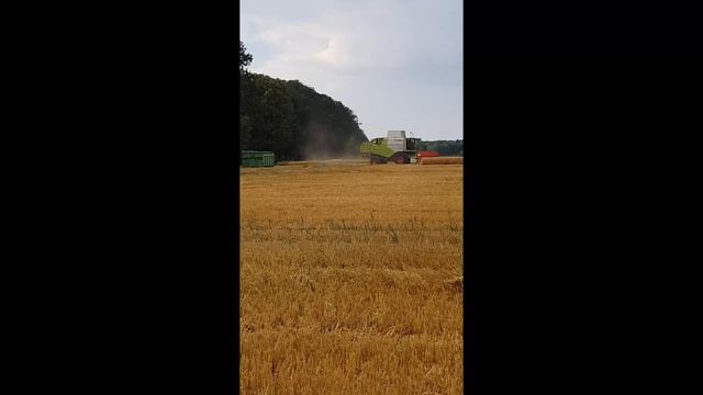 Moisson dorge 2018 IRL  CLAAS TUCANO 570