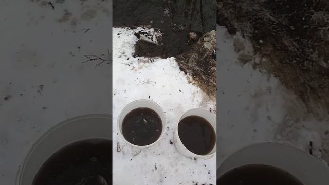 опоздали всю рыбу выловили в тяги смотреть онлайн