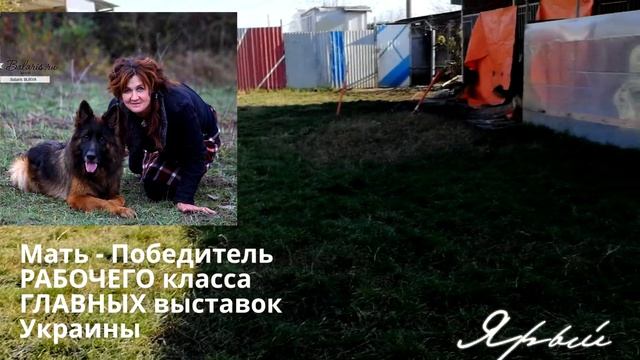 🔥 Баларис ЯРЫЙ 🔥 9 мес. смотреть онлайн