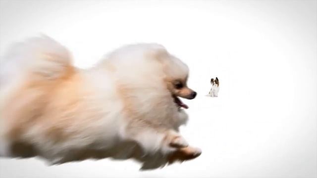 X-small 1 смотреть онлайн