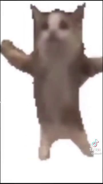 🌼Пуки🌫️Пуки🍯В магните🦈Хайпуки🐝Катан👆Покатун🥵Пей⚰️Пей😌 Няма💞Няма🌊 смотреть онлайн