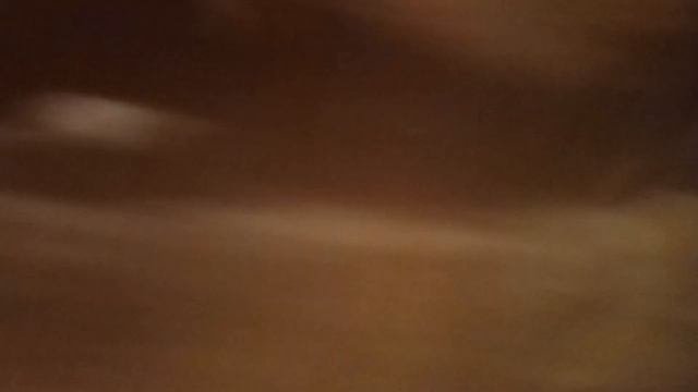 С ДНЁМ РОЖДЕНИЯ МИЛКА!СМОТРИМ СТАРЫЕ ВИДЕО КОШКИ МИЛКИ|I'm_Zlatik🌸🌿|#злата #кошка #деньрождение