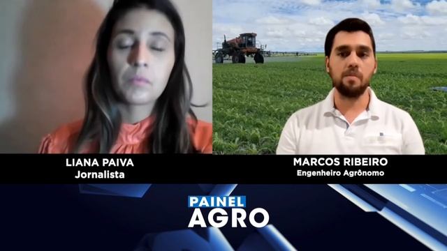 Dicas de manejo e controle de lagartas nas plantações de milho e soja смотреть онлайн