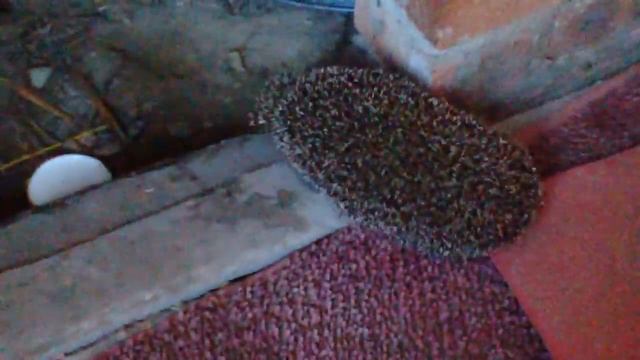 WP 20170716 006 смотреть онлайн