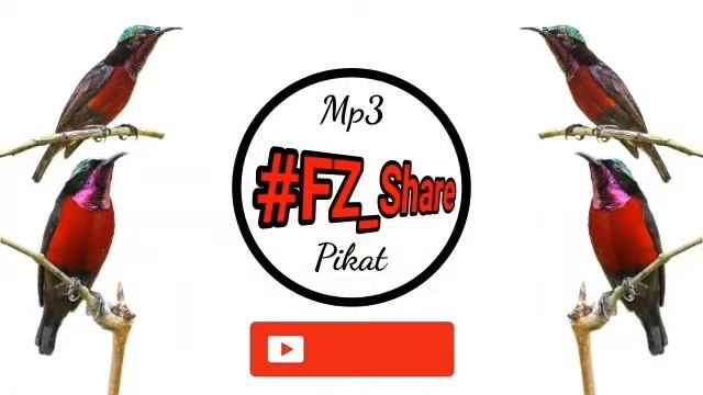 Mp3 Pikat Kolibri Tasik смотреть онлайн