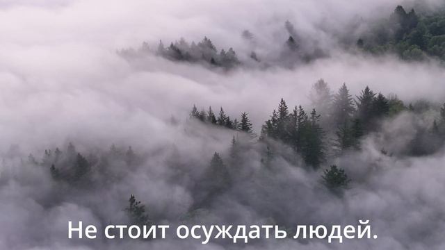 Попугай