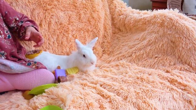 Милана играет с кроликами/Melani Kids смотреть онлайн