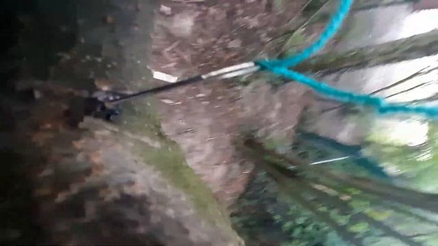 20 июля 2021 г. смотреть онлайн