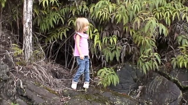 Fun Around the House Spring 2011, Mountain View, Hawaii.wmv смотреть онлайн