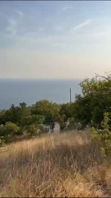 WhatsApp Video 2025-04-17 at 11.09.47 687173