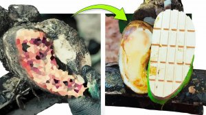 ＊INCREDIBLE＊ hoof TRANSFORMATIONS!