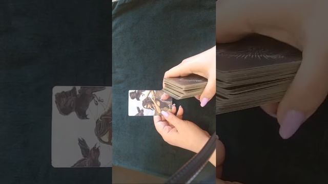 Ответ Таро бесплатно