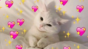 играю в блоки