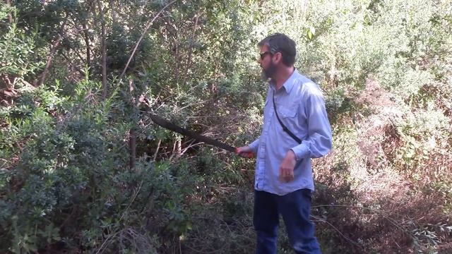 Machete use - part 2 - Machete Mastery: From Beginner to Expert