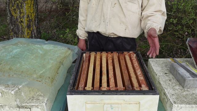 КАК СОБРАТЬ РАННИЙ МЕД! смотреть онлайн