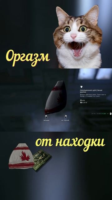 Оргазм от находки #нереальная_танкистка #sirambi #the_long_dark #пмс #tld #пмс