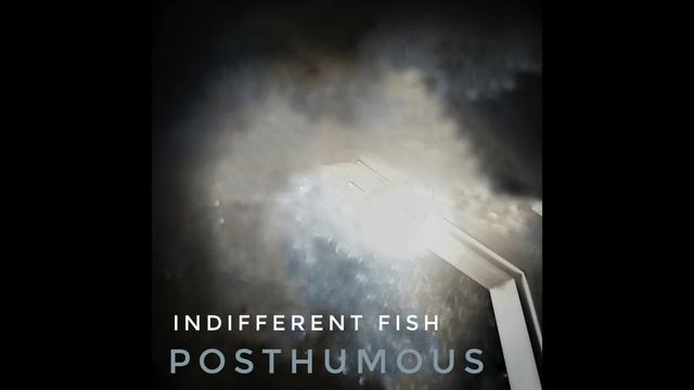 Posthumous: Full Album by Indifferent Fish смотреть онлайн