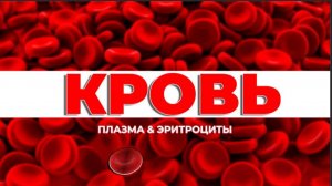 Кровь: Что у нас внутри? (Часть 1: Плазма и эритроциты)