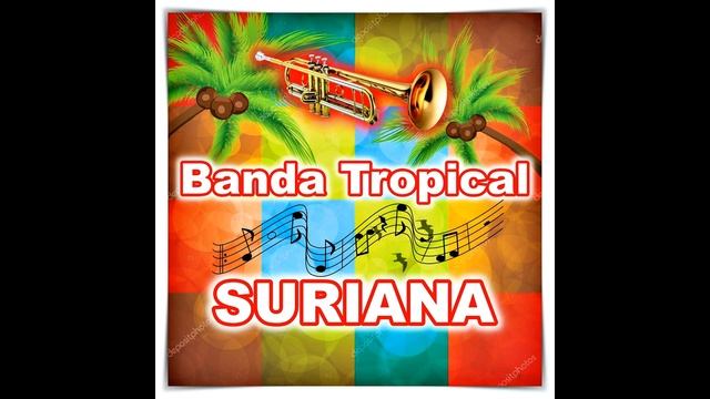 Cumbia Suriana - Banda Tropical Suriana en la Voz de Alejandro Nava Jijon смотреть онлайн