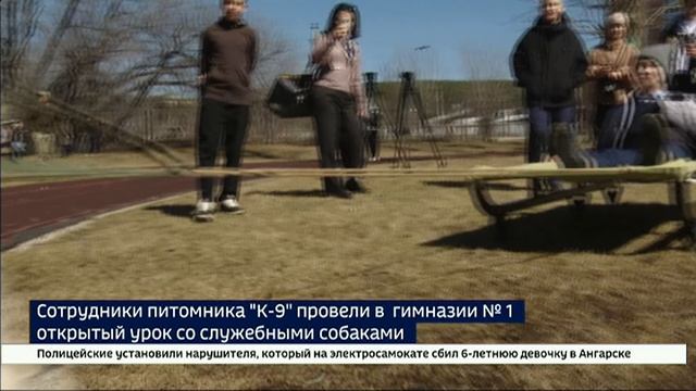 Сотрудники питомника К-9 провели в гимназии № 1 открытый урок со служебными собаками