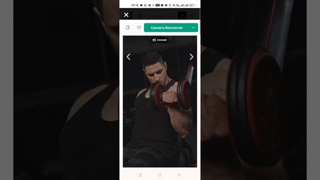 Создание простого #reels/shorts цитата+видео подробнее в моем канале в телеграм @any_pet смотреть онлайн