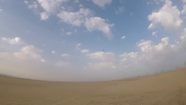 DTS500 3D RC Electric Helicopter Maiden Flight смотреть онлайн