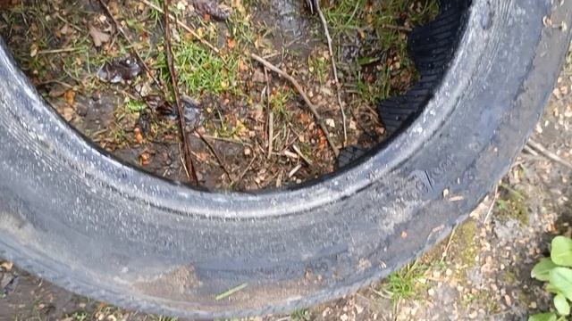 клумба для цветов за копейки часть 2