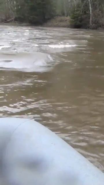 КАМНИ ДРАКОН после дождей СКРЫТЫ - МОЙ ВОПЛЬ после того как МЕДВЕДЬ бежал на меня ТАЙГА ОХОТА смотреть онлайн