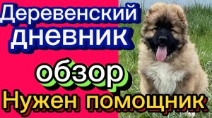ДЕРЕВЕНСКИЙ ДНЕВНИК ОЧЕНЬ МНОГОДЕТНОЙ МАМЫ. "ПОМОЩНИК"