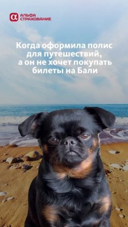 При поездки за границу будьте спокойны за свое здоровья с полисом страхования путешественников