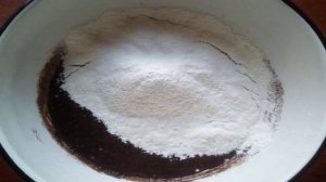 Шоколадное печенье с кокосовой стружкой