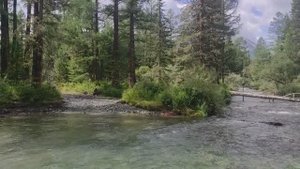 Замультинские дорожные зарисовки