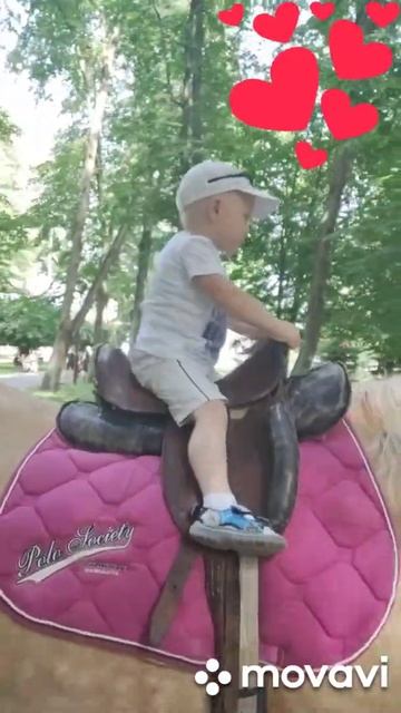 езда верхом смотреть онлайн